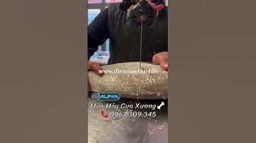 Máy Cưa Xương Cắt Thịt Cá Đông Lạnh ALPHA | Điện Máy Thiên Long📞0967.309.345