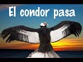 El condor pasa #разборпесни #перевод #произношение