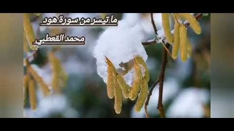 ما تيسر من سورة هود للقارئ محمد القعطبي