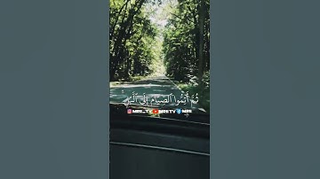 ماهر المعيقلي - سورة البقرة ( برواية حفص عن عاصم ) الأية 187