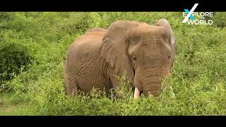 Bwindi Impenetrable National Park - Most Beautiful Places to Visit in Uganda Bwindi Impenetrable National Park - Most Beautiful Places to Visit in Uganda
