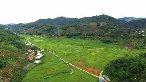 Demo Flycam Cánh đồng Chiềng Cọ - Sơn La