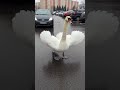 #polska