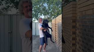 Pleasantly Surprised