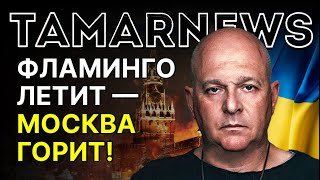 Download Lagu Кто платит боевикам армии Робин Гуда из Газы? Япония мечтает об израильских дронах. Тамар MP3 Download Lagu Кто платит боевикам армии Робин Гуда из Газы? Япония мечтает об израильских дронах. Тамар MP3