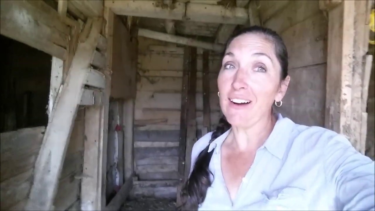 Barn Clean Out John Deere Manure Spreader Youtube