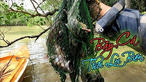 Bắt Cá Thồi Lòi Vừa Cắm Câu Vừa Đặc Bẫy  | GĐCG #523