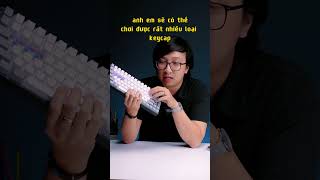 Điểm Nhận Diện Và Điểm Lợi Của MẠCH NGƯỢC? #banphimco #banphimcogiare #wisetech #banphim