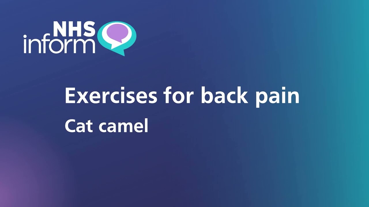 Exercises to help with back pain