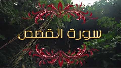 تلاوة للقران الكريم تخشع لها القلوب و تسكن الروح. سورة القصص