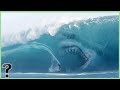 What If Megalodon Sharks Didn't Go Extinct?