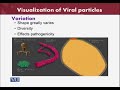 BT601 Virology Lecture No 11