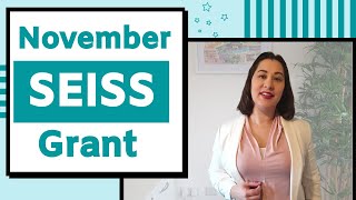 SEISS November 2020 (Self Employment Income Support Scheme (SEISS) Extension Update)