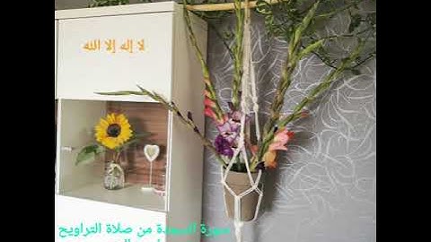 سورة السجدة من صلاة التراويح لهذا العام 1439 صابر صالح