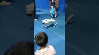 Robotic Dog #RobotDog #TechGadget #AICompanion #FuturePets #Robotics #SmartPet #Innovation #robot