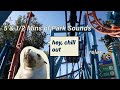 5 & 1/2 Mins of Park Sounds