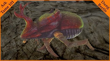 Taming 101 : Dung Beetle | Ark Survival Evolved