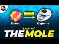 The mole avogadros number and stoichiometry