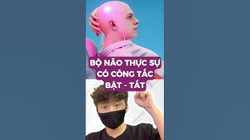 Bộ não thực sự có công tắc bật tắt #metrithuc
