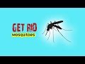 12 ways get rid of mosquitoes home remedies