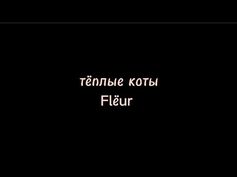 Тёплые коты-Flëur /текст песни/