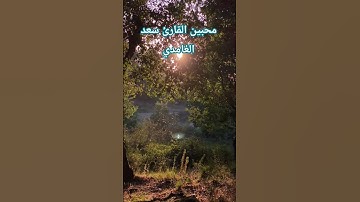 #سعد_الغامدي #محبين_القارئ_سعد_الغامدي #سورة_يونس #تلاوة_خاشعة