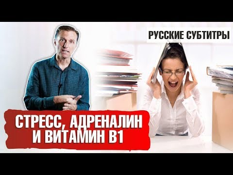 СТРЕСС, АДРЕНАЛИН и ВИТАМИН В1 (русские субтитры)