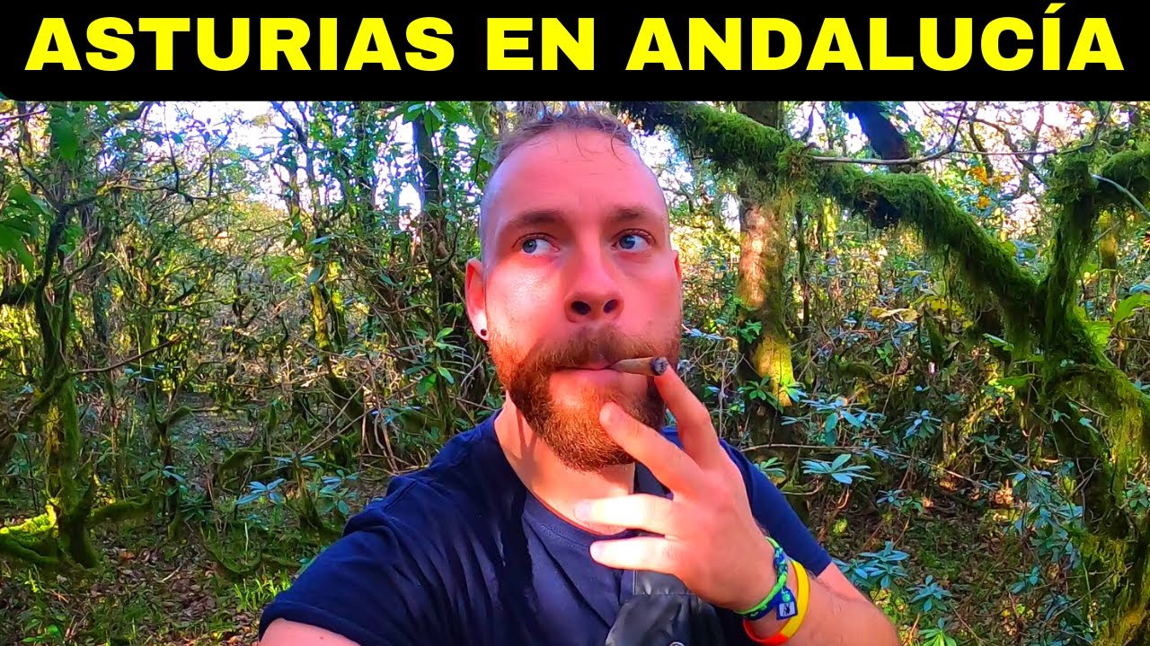 FUMADO y PERDIDO en un BOSQUE ENCANTADO en ANDALUCÍA 🇪🇸