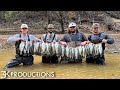 5 limits without moving our feet  wading for mississippi crappie