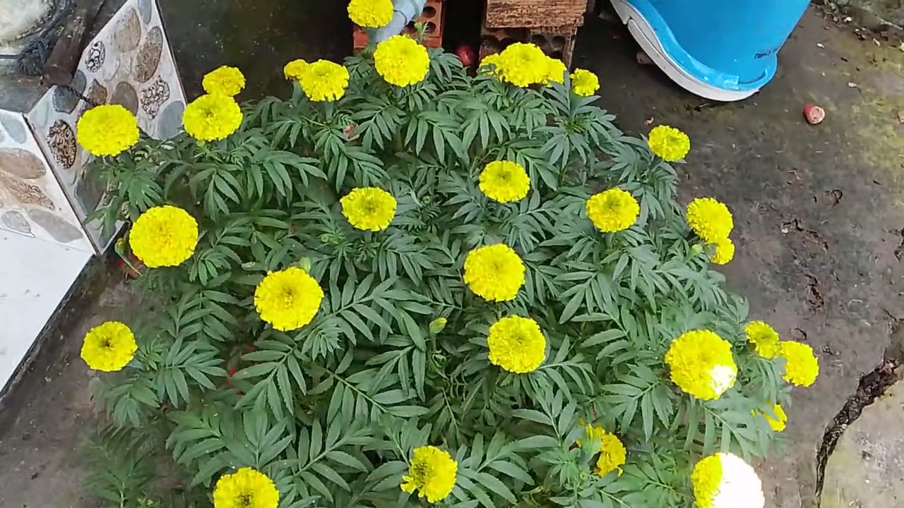 오늘은 조상님을 모시는 날밥 짓고, 상 차리고, 조용히 기도하는 시간