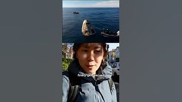 NASA Astronauts TRAPPED in Space for 9 Months Finally Return Home! #news