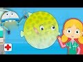 Boris the Puffer Fish Visits Dr Poppy's Pet Rescue | Animal Learning Cartoons For Toddlers