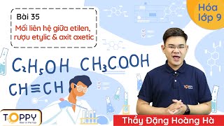 Mối liên hệ giữa etilen, rượu etylic và axit axetic - Hóa lớp 9 | Bài 35 | Học online cùng TOPPY screenshot 4