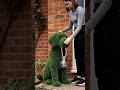 A simple Entrance turned into a Glowing Garden dog #art #trending #usashorts #newyork