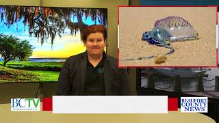 BEAUFORT COUNTY NEWS | HEADLINES | NOVEMBER 13, 2024 | Watch LIVE @www.BeaufortCounty.tv
