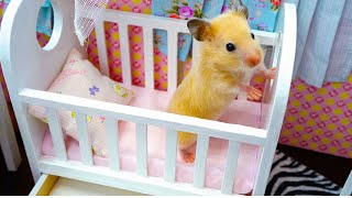 Hamsters   spouses live in a dollhouse!