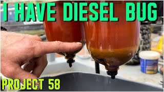 414. How to KILL diesel BUG