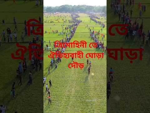 🏇 ত্রিমোহিনীতে ঐতিহ্যবাহী ঘোড়া দৌড় প্রতিযোগিতা 🏇🎥 #ঘোড়াদৌড় #ত্রিমোহিনী
