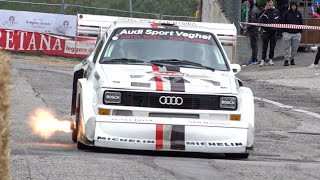 Best of Audi Quattro S1 Group B Rally Tribute | Pure Engine Sound