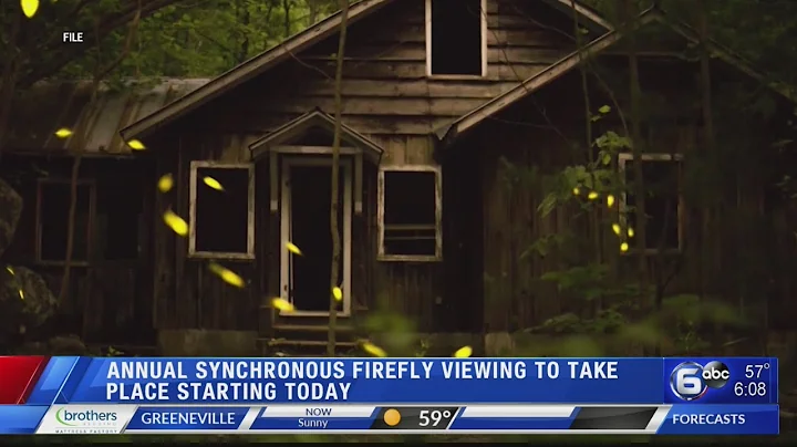 Synchronous fireflies returns to Great Smoky Mountains National Park