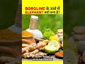 Reason of elephant symbol in boroline box!!