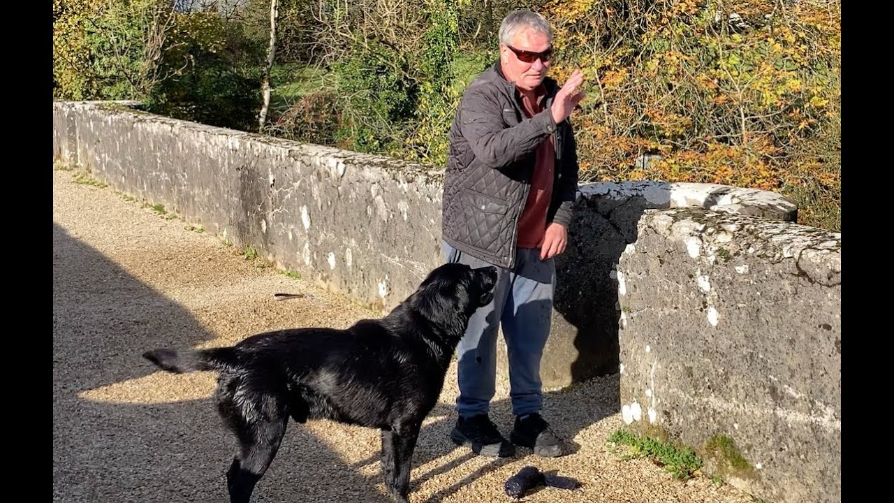 Down at my boat, one man and his dog