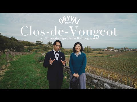 Video: Een gids voor het wijnmuseum Cite du Vin in Bordeaux