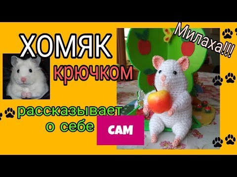 Норка хомячка вязанные игрушки крючком