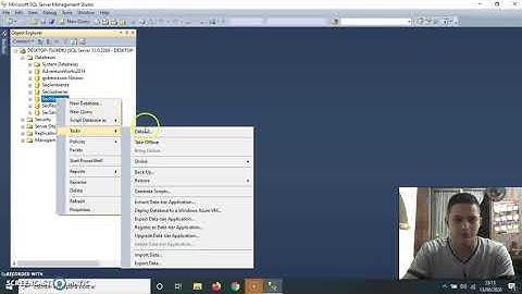 Copia de Seguridad Tablas Base de Datos Sql Server