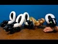 Balloon Animals! Skunk/Squirrel