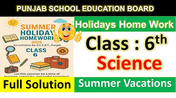PSEB 6th Class Science Mission Samrath Holiday Homework fully Solved , Project Work solved