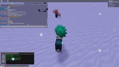 found the CO-OWNER IN void script builder (place 1)