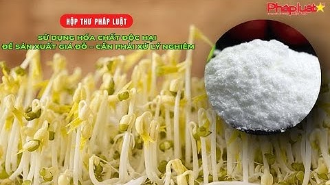 HỘP THƯ PHÁP LUẬT: Sử dụng hóa chất độc hại để sản xuất giá đỗ – Cần phải xử lý nghiêm