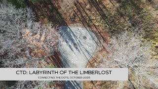 CTD Labyrinth of the Limberlost